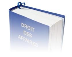 avocat droit des affaires